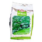 Sementes De Coentro Verdão (50g) Isla