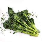 Sementes De Couve Brócolis Fabulous (híbrida) Super Isla