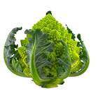 Sementes De Couve-brócolis Romanesco Ottobrino Super Isla