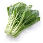 Sementes De Couve Chinesa Komatsuna Feltrin