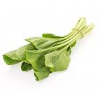 Sementes De Couve Chinesa Komatsuna Feltrin