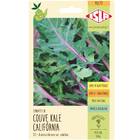 Sementes De Couve Kale Califórnia Isla