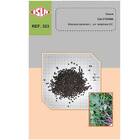 Sementes De Couve Kale Califórnia Isla