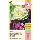 Sementes De Couve Ornamental Arco-íris (sortida) Isla