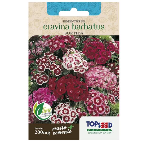 Sementes De Cravina Barbatus (sortida) Topseed