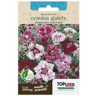 Sementes De Cravina Gaiety Dobrada (sortida) Topseed