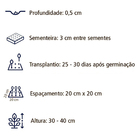 Sementes De Cravina Gaiety Sortida Env. C/ 3 Gramas