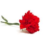 Sementes De Cravo Chabaud (vermelho) Topseed