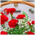 Sementes De Cravo Chabaud (vermelho) Topseed