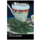 Sementes De Erva-de-são João Hipérico Feltrin