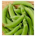 Sementes De Ervilha Doce Japonesa Isla