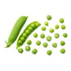 Sementes De Ervilha Doce Japonesa Isla