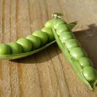 Sementes De Ervilha Eloá (1kg) Feltrin