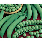 Sementes De Ervilha Max 40 Pcte C/ 1kg