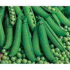Sementes De Ervilha Petit Pois Pcte C/ 1kg