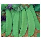 Sementes De Ervilha Petit Pois Topseed