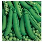 Sementes De Ervilha Petit Pois Topseed
