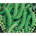 Sementes De Ervilha Telefone Alta Pcte C/ 1kg