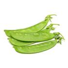 Sementes De Ervilha Torta Relva (linha Carol Costa) Isla