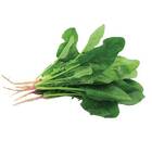 Sementes De Espinafre Híbrido Pina Super Isla