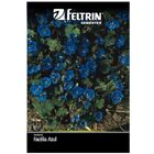 Sementes De Facélia Azul Feltrin