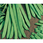 Sementes De Feijão De Vagem Manteiga Teresópolis Pcte C/ 1kg