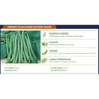Sementes De Feijão De Vagem Zigane (rasteiro) Pcte C/ 1 Kg