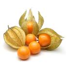 Sementes De Fisális [goldenberry] Feltrin