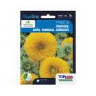 Sementes De Girassol Anão Sungold Dobrado Env. C/ 3 Gramas
