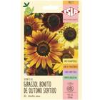 Sementes De Girassol Bonito De Outono (sortido) Isla