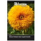Sementes De Girassol Dobrado Anão Sungold Feltrin