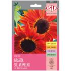 Sementes De Girassol Sol Vermelho Isla