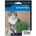 Sementes De Grama Dos Gatos (cat Grass) Blueline Topseed