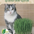 Sementes De Grama Dos Gatos (cat Grass) Topseed