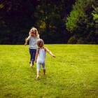 Sementes De Grama Para Jardim (folha Fina) Blueline Topseed