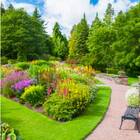 Sementes De Grama Para Jardim (folha Fina) Blueline Topseed