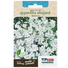 Sementes De Gypsofila Elegant Branca Topseed