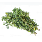 Sementes De Hissopo Ou Alfazema De Caboclo Feltrin