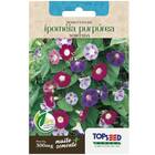 Sementes De Ipoméia Purpúrea (sortida)  Topseed
