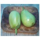 Sementes De Jiló Jaíba (gigante) Isla