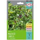 Sementes De Manjericão Cannella Super Isla