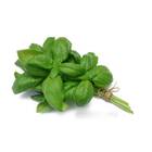 Sementes De Manjericão Genovese Topseed