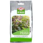 Sementes De Manjericão Sagrado Prana (50 Sementes) Isla