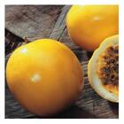 Sementes De Maracujá Azedo Amarelo Feltrin