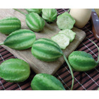 Sementes De Maxixe Liso Gibão Pcte C/ 100 Gramas