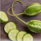 Sementes De Maxixe Liso Gibão Topseed