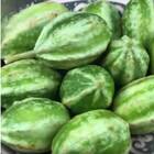 Sementes De Maxixe Liso Gibão Topseed