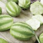 Sementes De Maxixe Liso Gibão Topseed