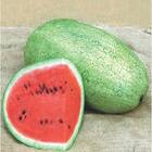 Sementes De Melancia Charleston Gray Topseed