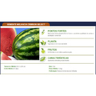Sementes De Melancia Crimson Select Hollar Pcte C/ 500 Gramas